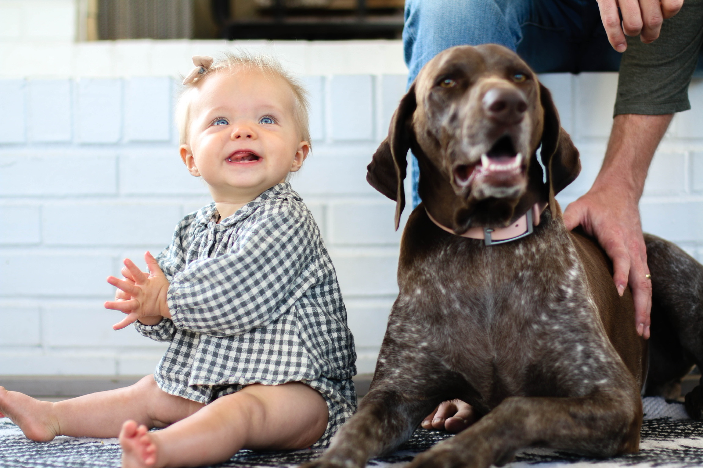 Baby and Dog family photos